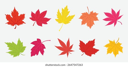 Leaves autumn set vector. set of autumn leaves of different colors. Flat vector illustration. Leaves autumn collection in flat design set isolated.