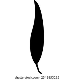 Leaves for Autumn, Summer, Spring. Vector Illustration