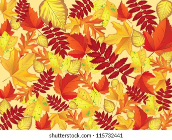 Leaves autumn vector background