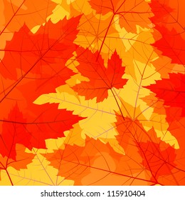 Leaves autumn vector background