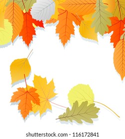 Leaves autumn vector background