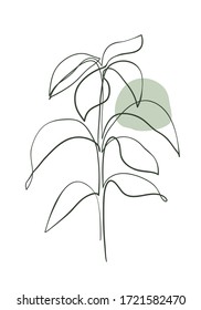 Leaves of avocado tree line art . Continuous line hand drawing art. Abstract minimal botanical art.