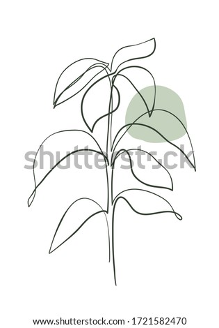 Leaves of avocado tree line art . Continuous line hand drawing art. Abstract minimal botanical art.