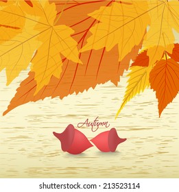 leaves background with acorns