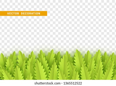 Leaves background. foliage isolated. vector leaf pattern.