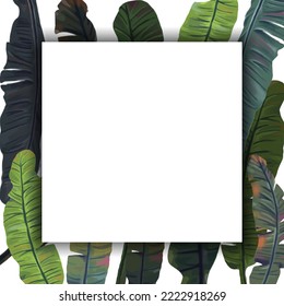 Leaves background with note cards, natural concepts.