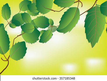 leaves background on light green color,vector illustration