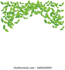 leaves background pattern vector illustration