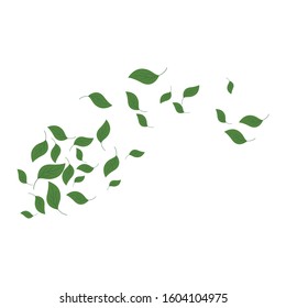 leaves background pattern vector illustration