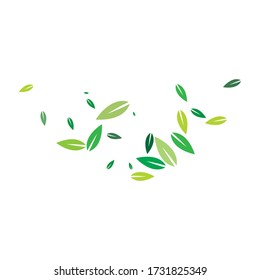 Leaves background pattern vector illustration