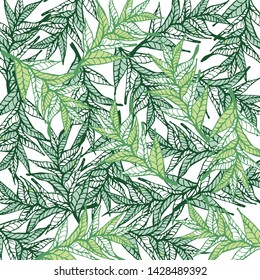leaves background texture with hand drawn,flora vector,natural background.