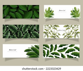 leaves bakground design vector for ecology 
set bundle nature leaves background