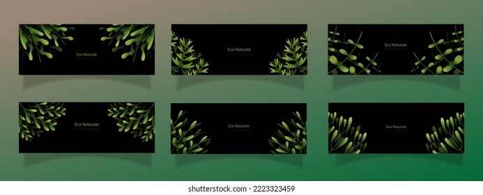 leaves bakground design vector for ecology 
set bundle nature leaves background