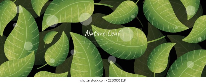 leaves bakground design vector for ecology 
nature leaves background