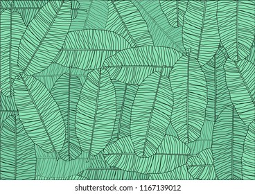 leaves of banana tree background wallpaper.