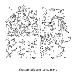 Leaves, beans. Black pen drawing. Vector doodles