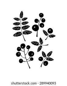 Leaves and berries. Icons. Vector set.