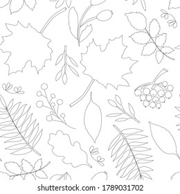Hojas, bayas y ramas de árboles.  Dibujo de líneas, patrón sin soldadura. Diseño de otoño y verano.  Papel, cubierta, tela, envoltura de regalo, arte mural, decoración interior.