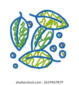 leaves of black pepper plant doodle icon sketch vector. leaves of black pepper plant sign. isolated symbol illustration