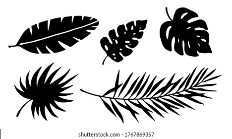 Leaves black silhouette set. Tropical plants, palm branches isolated on white background. Hand drawn