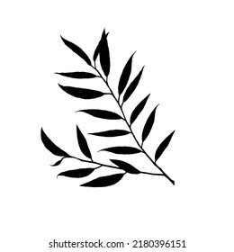 Leaves black silhouettes isolated on white background