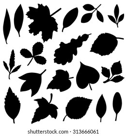 Leaves black silhouettes isolated on white background set