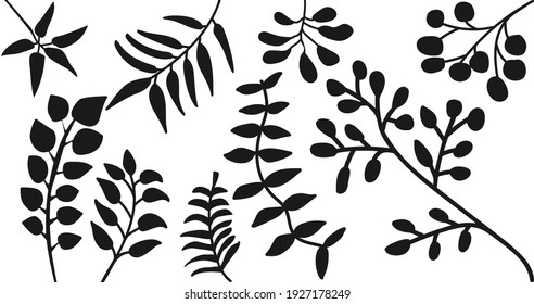 leaves black silhouettes set on white background vector illustration