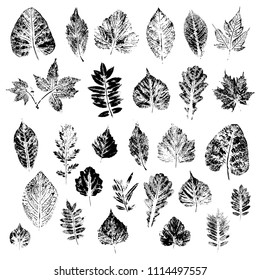 Leaves of black silhouettes of trees and bushes. Set of vector illustrations