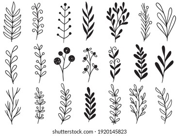 the leaves are black and white