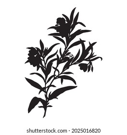 Leaves in black and white 