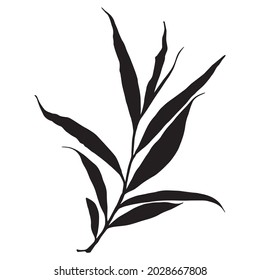 Leaves in black and white