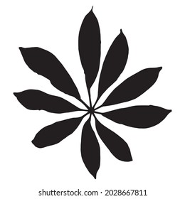 Leaves in black and white