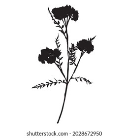 Leaves in black and white