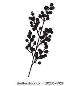 Leaves in black and white