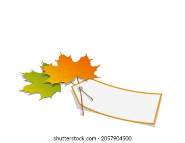 Leaves with blank sign,
Vector illustration isolated on white background
