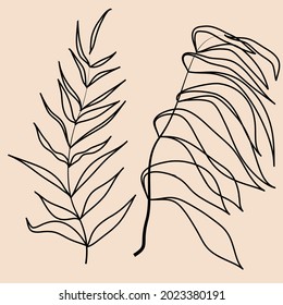 Leaves in Boho art style . Vector illustration