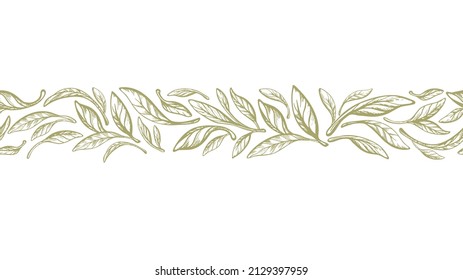 Leaves border. Olive, laurel greek seamless print. Vintage vector foliage on white background. Hand drawn ethnic background