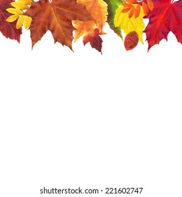 Leaves Border, Vector Illustration