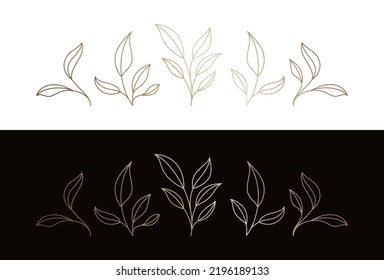 leaves botanical branches logo design with stem and foliage line art vector illustration