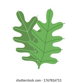 leaves botanical foliage decoration isolated icon design vector illustration