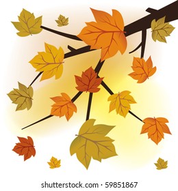 Leaves in the branch in autumn