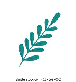 leaves in branch foliage nature plant icon design vector illustration