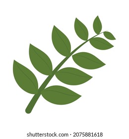 leaves branch icon on white background