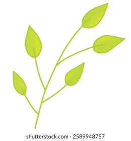 Leaves Branch Nature Illustration botanical
