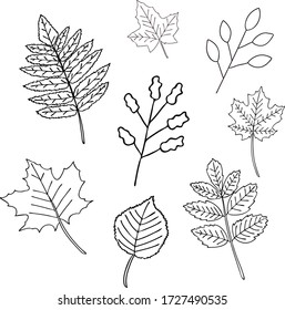 Leaf Drawing High Res Stock Images Shutterstock