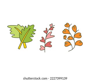 leaves and branch set vector illustration