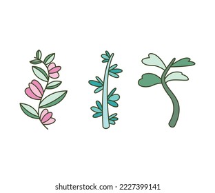 leaves and branch set vector illustration