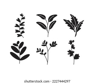 leaves and branch set vector illustration