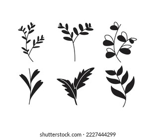 leaves and branch set vector illustration