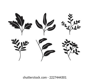 ilustración vectorial de conjuntos de hojas y ramas